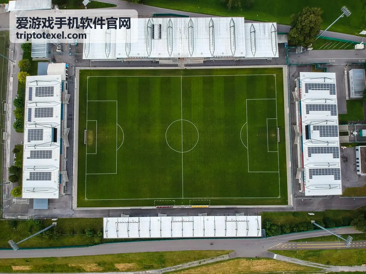 爱游戏手机软件官网功能与玩法说明配图
