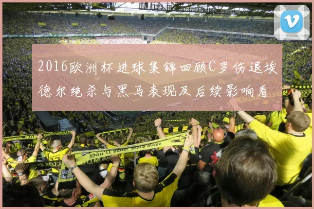 2016欧洲杯进球集锦回顾C罗伤退埃德尔绝杀与黑马表现及后续影响看点