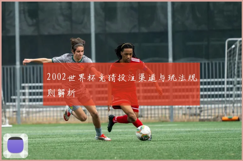2002世界杯竞猜投注渠道与玩法规则解析