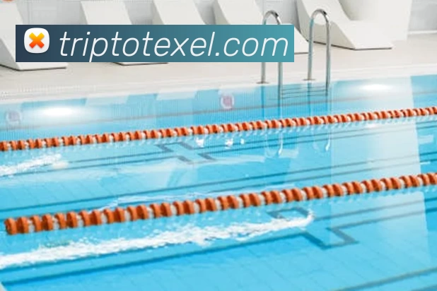 爱游戏体育官网首页发展历程